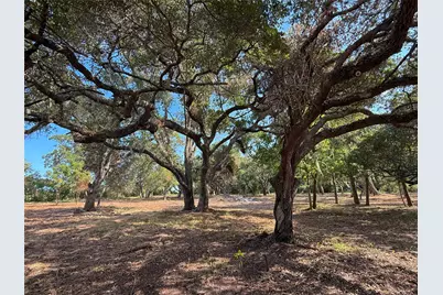 Lot 1 S F Austin, Freeport, TX 77541 - Photo 9