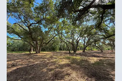 Lot 1 S F Austin, Freeport, TX 77541 - Photo 7