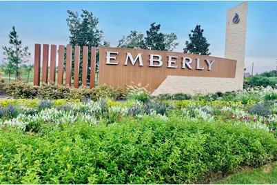 10422 Birds Nest Drive, Beasley, TX 77417 - Photo 13