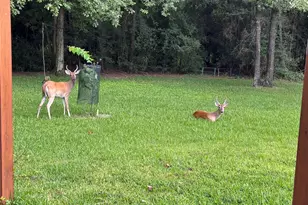 11538 / 11534 Sebastians Run, Montgomery, TX 77316 - Photo 47