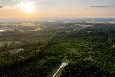 1999 Cherokee Trail, Lovelady, TX 75851 - Photo 5