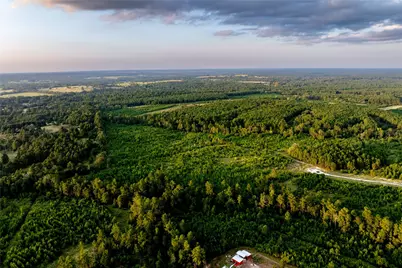 1999 Cherokee Trail, Lovelady, TX 75851 - Photo 9