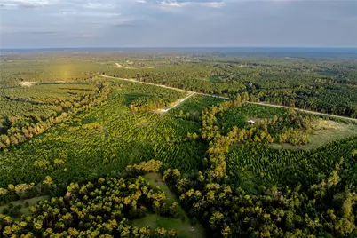 1999 Cherokee Trail, Lovelady, TX 75851 - Photo 13