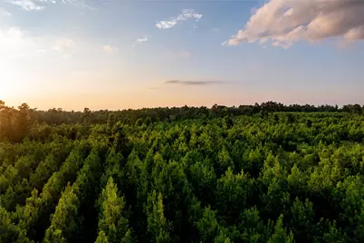 1999 Cherokee Trail, Lovelady, TX 75851 - Photo 1