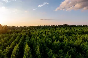 1999 Cherokee Trl, Lovelady, TX 75851 - Photo 1