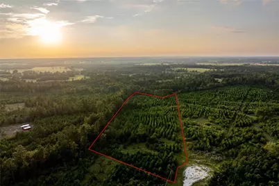 1999 Cherokee Trail, Lovelady, TX 75851 - Photo 21