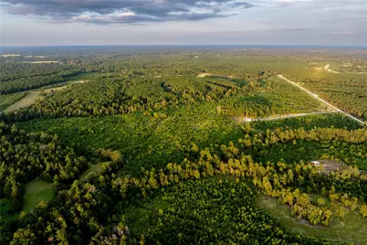 1999 Cherokee Trail, Lovelady, TX 75851 - Photo 11