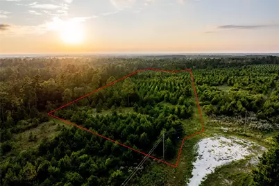 1999 Cherokee Trail, Lovelady, TX 75851 - Photo 3