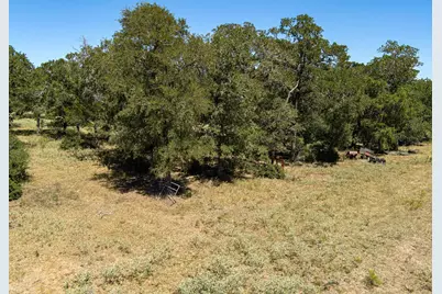 294 Lois Lane, Paige, TX 78659 - Photo 33