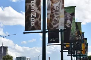 3009 Jensen Spgs Ln, Houston, TX 77026 - Photo 31