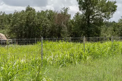 Tbd St Delight Tract 4, Paige, TX 78659 - Photo 5