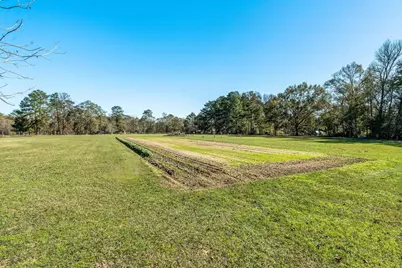 15091 W Fm 1485 Road, Conroe, TX 77306 - Photo 3