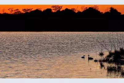 16319 Blue Mistflower Lane, Hockley, TX 77447 - Photo 27