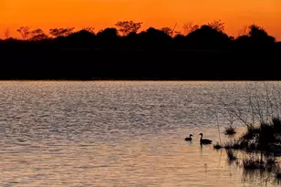 16319 Blue Mistflower Ln, Hockley, TX 77447 - Photo 27
