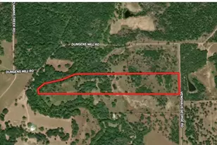0 Vengaus George Rd, Columbus, TX 78934 - Photo 1