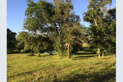 1127 County Road 241, Anderson, TX 77830 - Photo 47