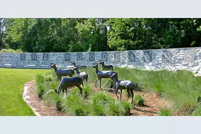 142 Russet Grove Circle, The Woodlands, TX 77384 - Photo 39