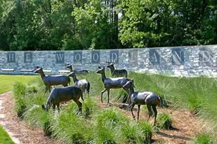 142 Russet Grove Circle, The Woodlands, TX 77384 - Photo 39