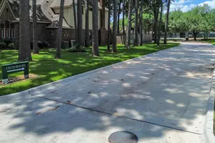 14211 Napier Ct, Houston, TX 77069 - Photo 49