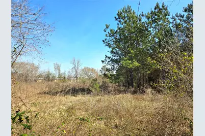 205 Tanner Street, Cleveland, TX 77575 - Photo 3