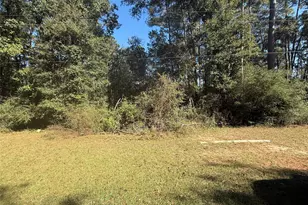 Tbd2 Lake Shore Dr, Conroe, TX 77303 - Photo 3