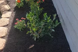 1023 W Snyder St, Alvin, TX 77511 - Photo 19