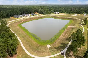 534 Black Bronco Rd, Magnolia, TX 77354 - Photo 39