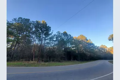 1.9 Ac Meador Road, Conroe, TX 77303 - Photo 5