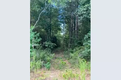69 Tranquil Lane, Huntsville, TX 77340 - Photo 3