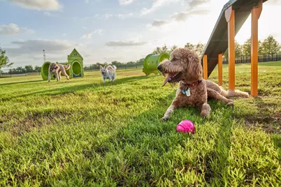 7819 Cattail Shallows Lane, Katy, TX 77493 - Photo 35