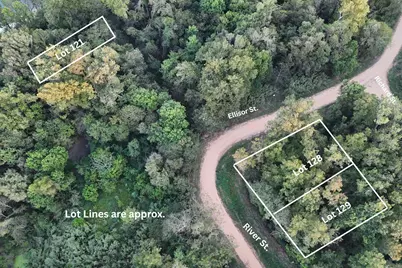 Tbd River Street, Coldspring, TX 77331 - Photo 3