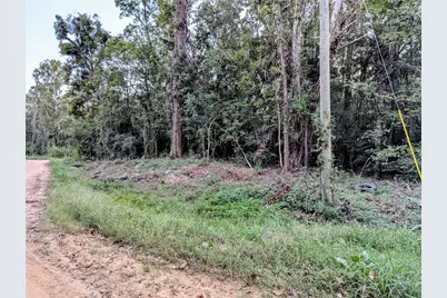 Tbd River Street, Coldspring, TX 77331 - Photo 9