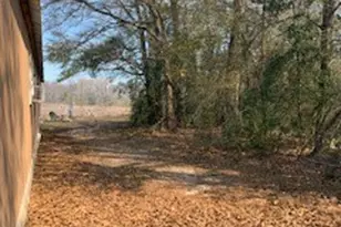 1354 Fm 405 Rd, Riverside, TX 77320 - Photo 11