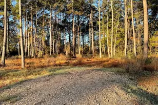 11309 Annie Creek Dr, Willis, TX 77378 - Photo 1