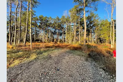 11309 Annie Creek Drive, Willis, TX 77378 - Photo 3