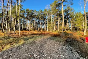 11309 Annie Creek Dr, Willis, TX 77378 - Photo 3