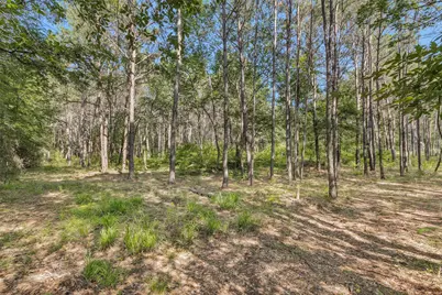6493 Planters Row Lane Lane, Plantersville, TX 77363 - Photo 15