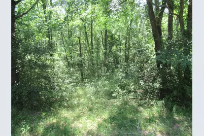 385 Noel, Livingston, TX 77351 - Photo 3