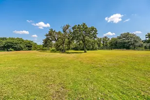 1017 Buescher Rd, Columbus, TX 78934 - Photo 33