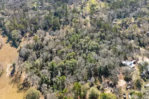 15685 McKay Rd, Willis, TX 77378 - Photo 11