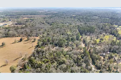 15685 McKay Road, Willis, TX 77378 - Photo 9