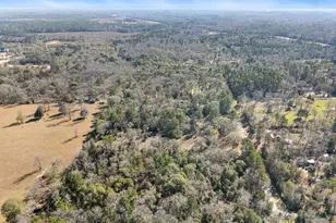 15685 McKay Rd, Willis, TX 77378 - Photo 9