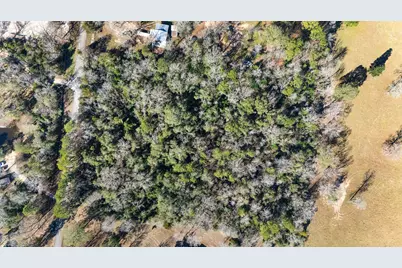 15685 McKay Road, Willis, TX 77378 - Photo 17