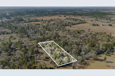 15685 McKay Road, Willis, TX 77378 - Photo 21