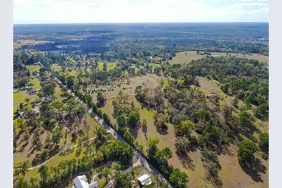 100 Acres Spring Branch Road, Montgomery, TX 77316 - Photo 5