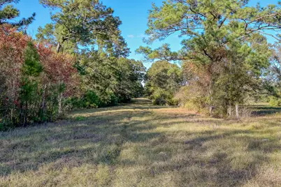 100 Acres Spring Branch Road, Montgomery, TX 77316 - Photo 21