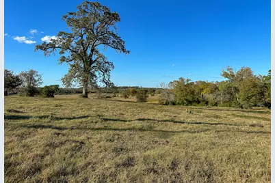 100 Acres Spring Branch Road, Montgomery, TX 77316 - Photo 9