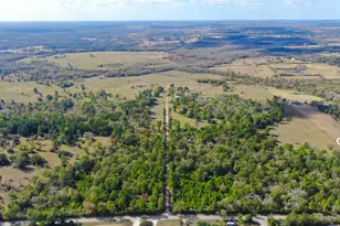 100 Acres Spring Branch Rd, Montgomery, TX 77316 - Photo 33