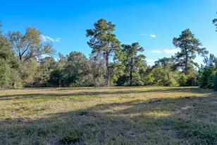 100 Acres Spring Branch Rd, Montgomery, TX 77316 - Photo 23