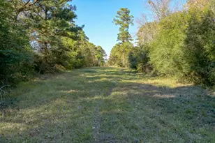 100 Acres Spring Branch Rd, Montgomery, TX 77316 - Photo 27